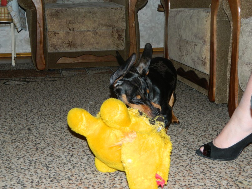 Алексей Книга | Херсон