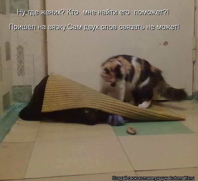 №108, Екатерина Гулая, 43 года, Киев №108, Екатерина Гулая, 43 года, Киев