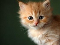 Владимир Сахаров | Одесса