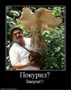 Фотография Дарья Куракина