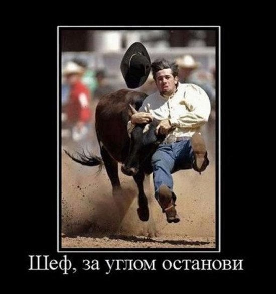 Виктор Шматенко | Череповец