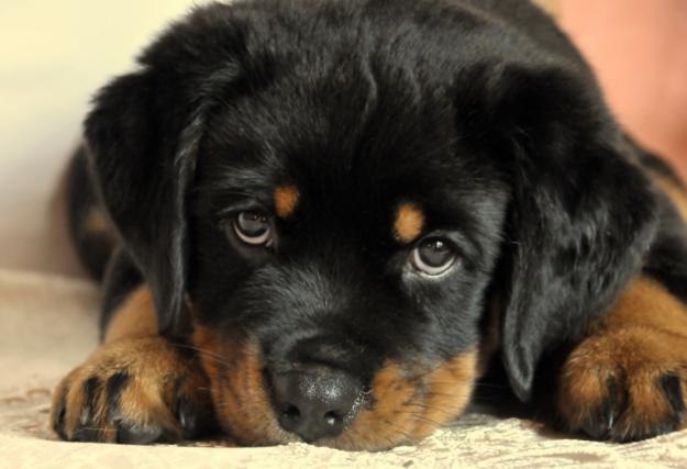 Ромкааааа Сухачёв | Мариуполь