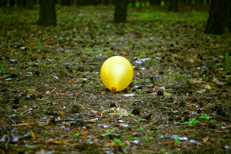 №138, Алексей Соловьев №138, Алексей Соловьев