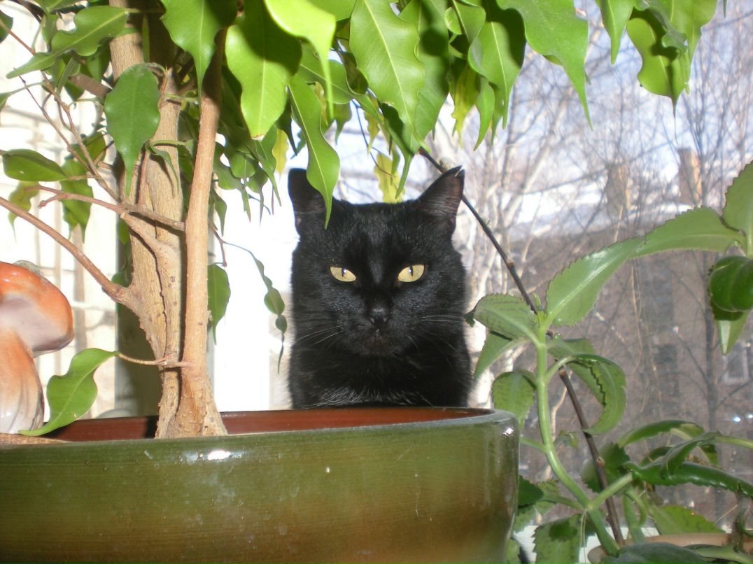 Егор Лихачёв | Санкт-Петербург