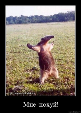 №56, Бауыржан Кайнарбекулы №56, Бауыржан Кайнарбекулы