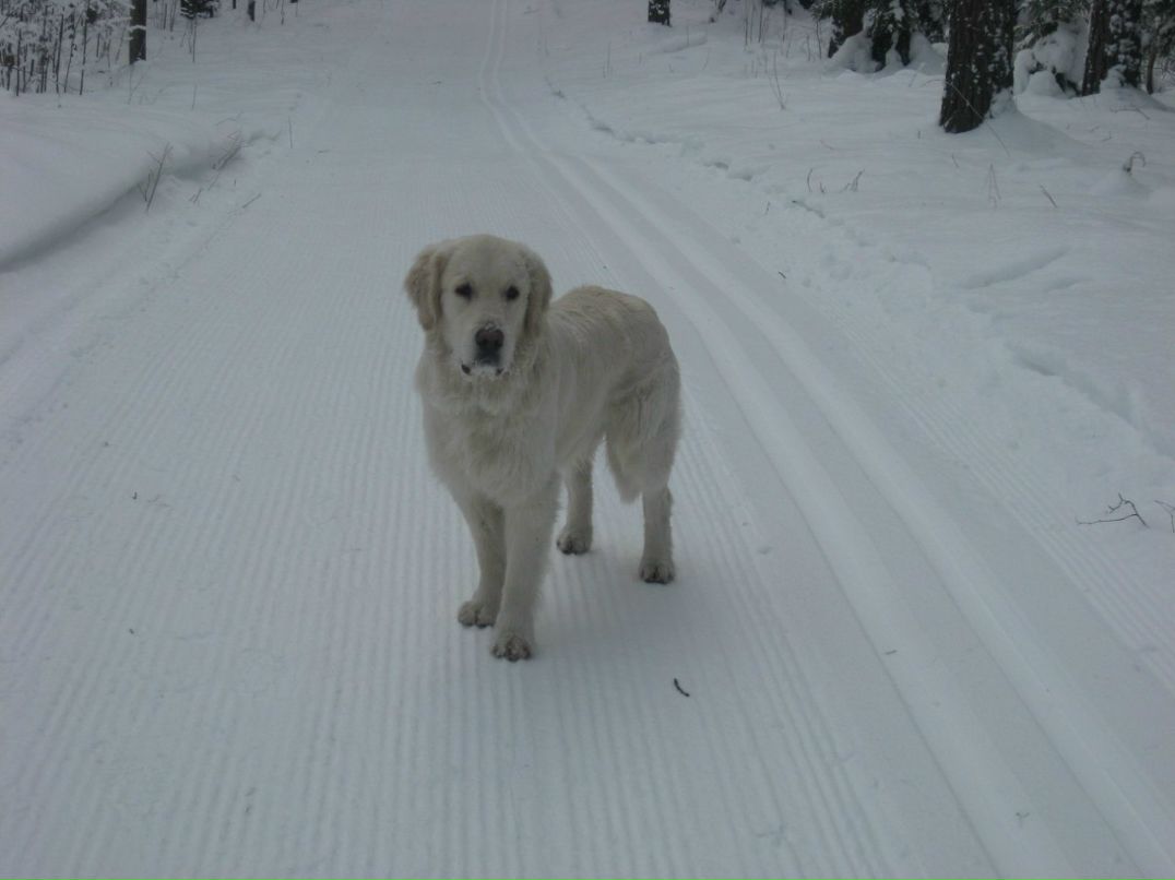 Евгения Новиковская-Спиридонова | Санкт-Петербург
