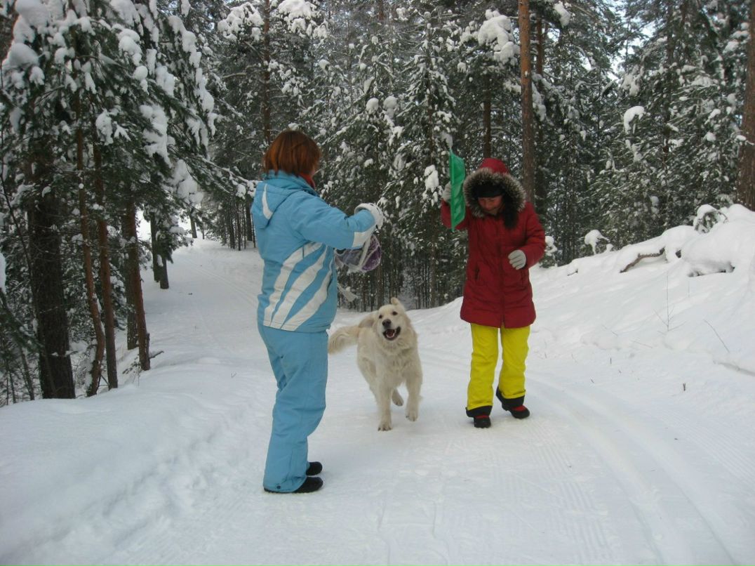 Евгения Новиковская-Спиридонова | Санкт-Петербург