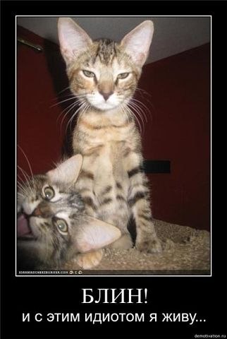 Елена Овчинникова | Балашиха