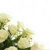 Айгуль Фатхуллина П@НТЕРА | Набережные Челны