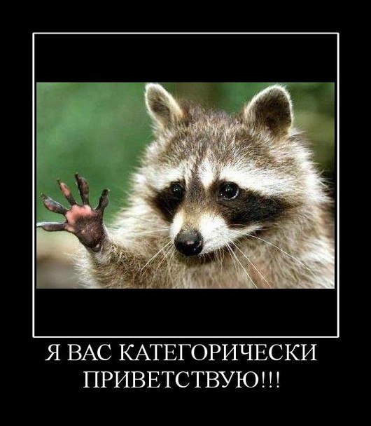 Степан Вельможин | Ленинск