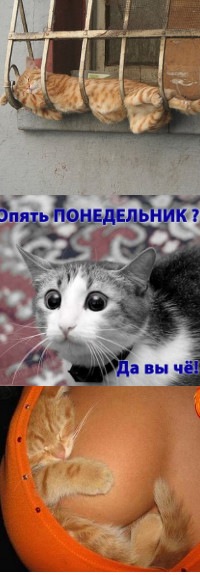 №160, Андрей Шевченко, 29 лет, Киев №160, Андрей Шевченко, 29 лет, Киев