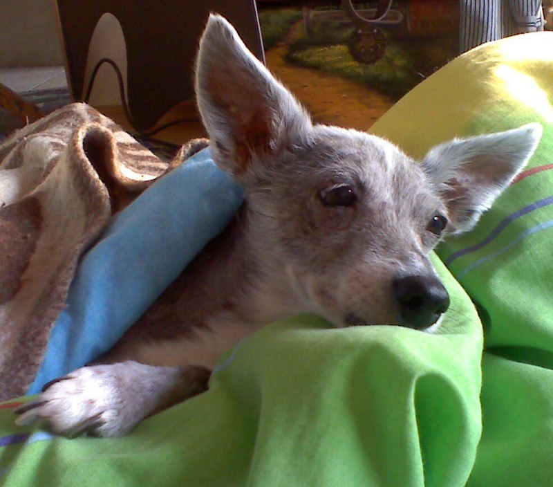 Евгений Кузнецов | Сургут