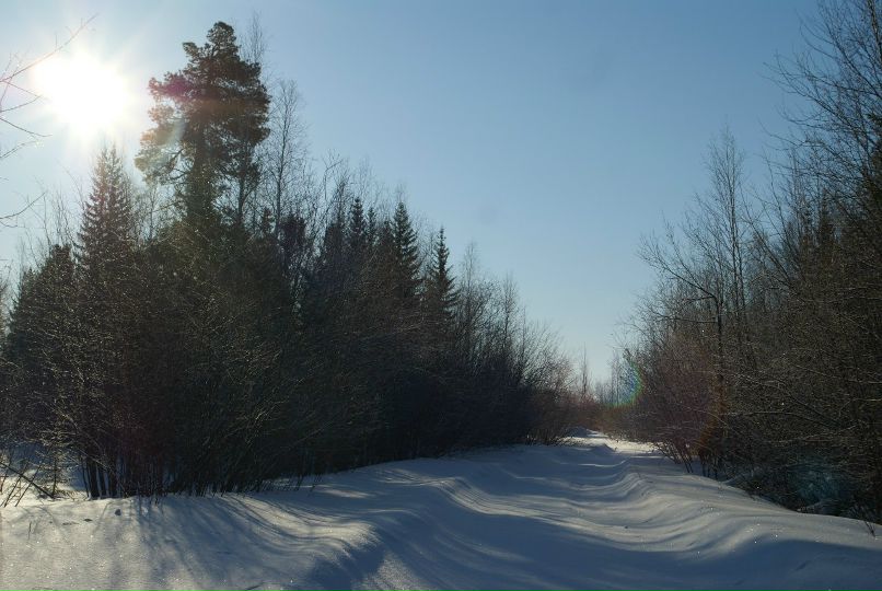 Иван Босниец | 