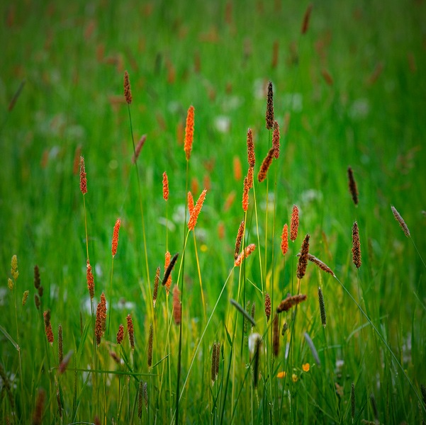 №47, Ростислав Дымерец, Киев №47, Ростислав Дымерец, Киев