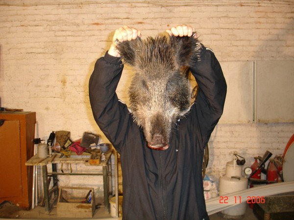 Alexbeluxa Beluxa | Горно-Алтайск