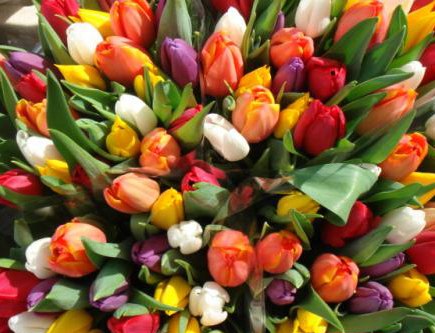 Ольга Зайцева | Казань