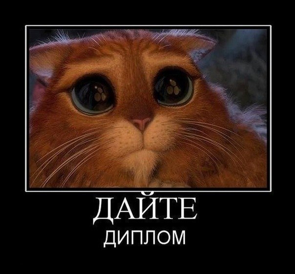 Кристина Купко | 