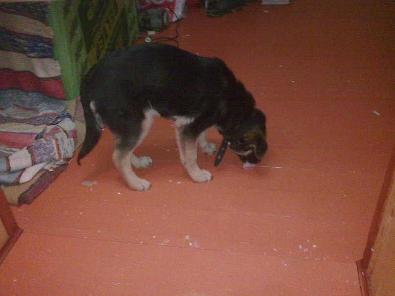 Паша Никулочкин Face-control | Калуга