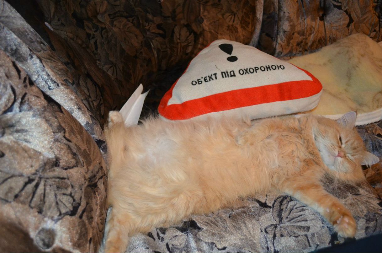 Кирилл Думанский | Киев