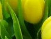 Кристина Фатьянова *Розкажи,мені на картах,де ти є* | Одесса