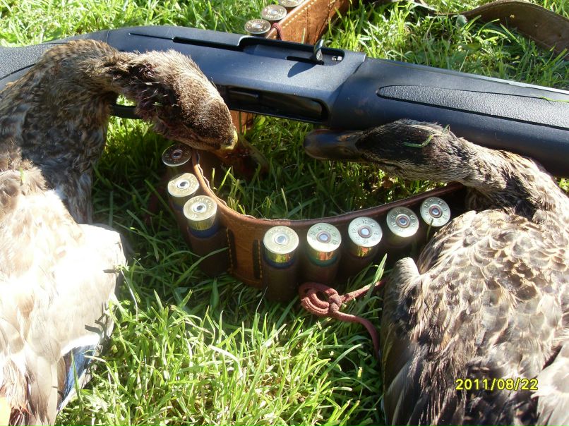 Сергей Шкамарда | Череповец