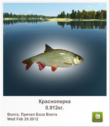 Петр Казаков | Архангельск