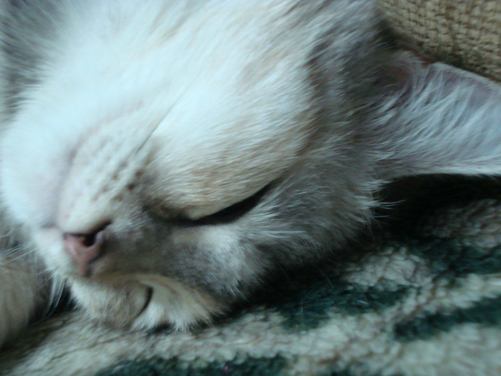 Людмила Собина | Воткинск