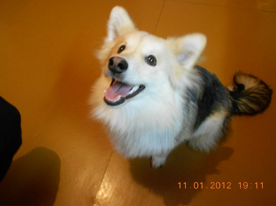 Любовь Курицына | Тотьма