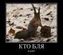 №21 Ника Олива 13.04: профиль, фото, статус - ВКонтакте