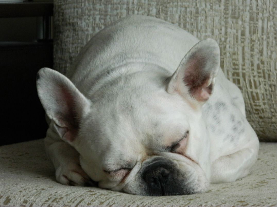 Егор Лынник Pafosss | Уфа