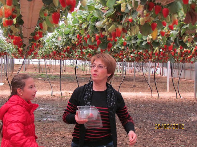 Ирина Зарицкая | Миргород