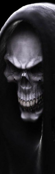 Владимир Денежкин | Санкт-Петербург