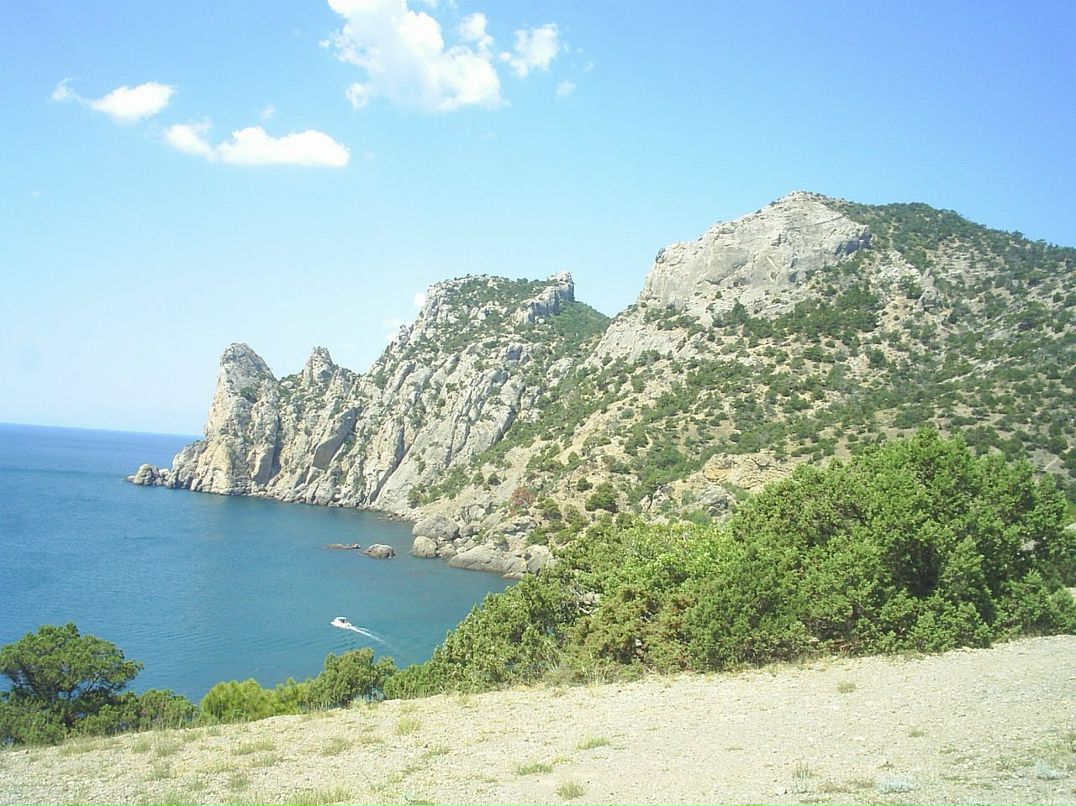 Владимир Бартош | Воронеж