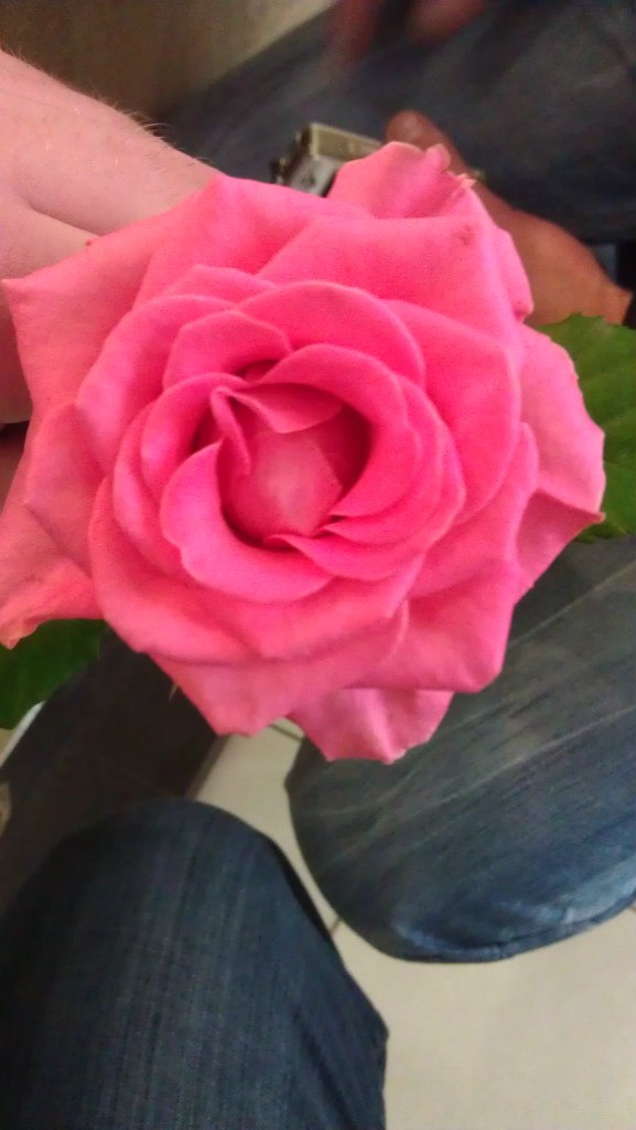 Александр Мамуто *MT* | Донецк