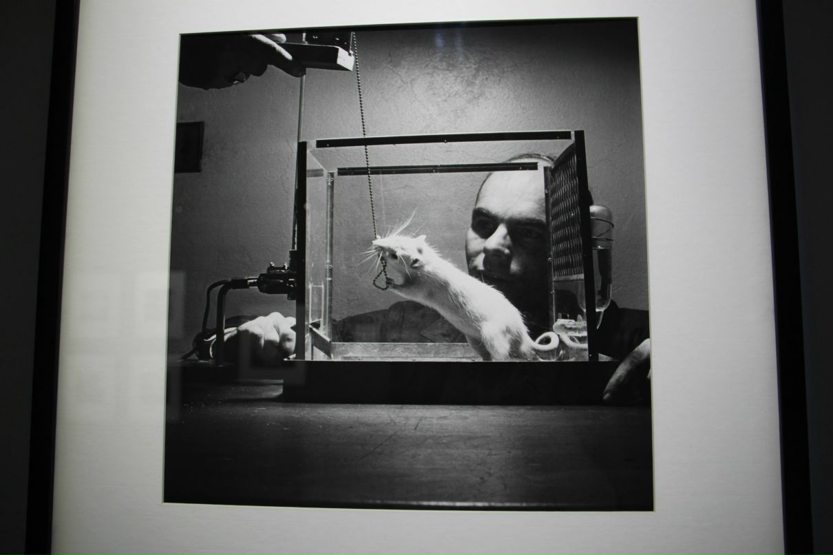 Сабина Гаджиева | Москва