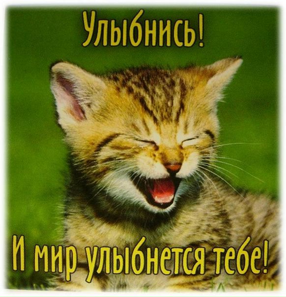 №47, Алексей Жохов, Санкт-Петербург №47, Алексей Жохов, Санкт-Петербург