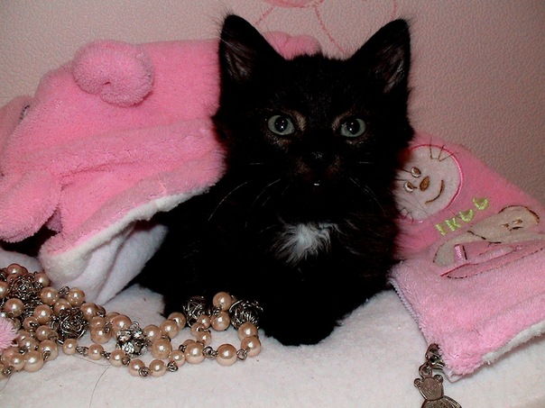 №3, Анастасия Шашерина, Вологда №3, Анастасия Шашерина, Вологда