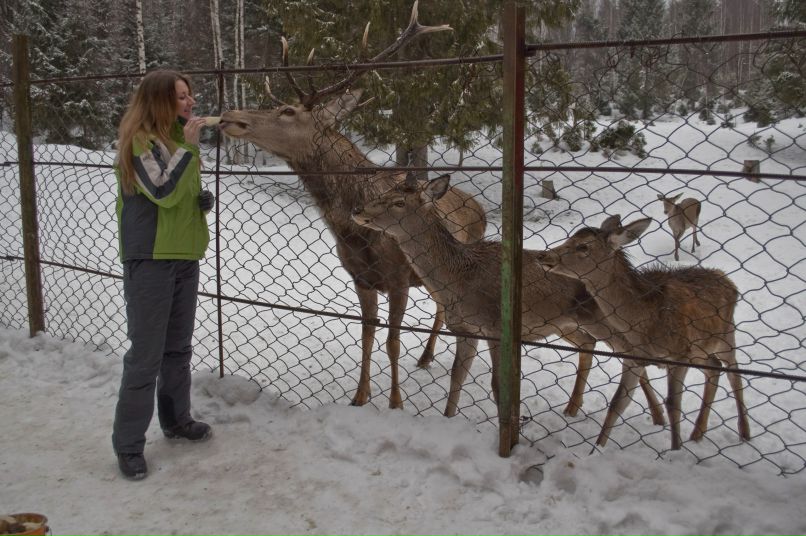 Анастасия Ермакова | Киев