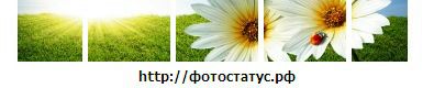 №32 Мария Фомина 18.05.1992: профиль, фото, статус - ВКонтакте