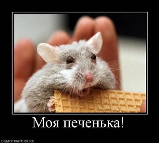 Максим Панченко | Донецк