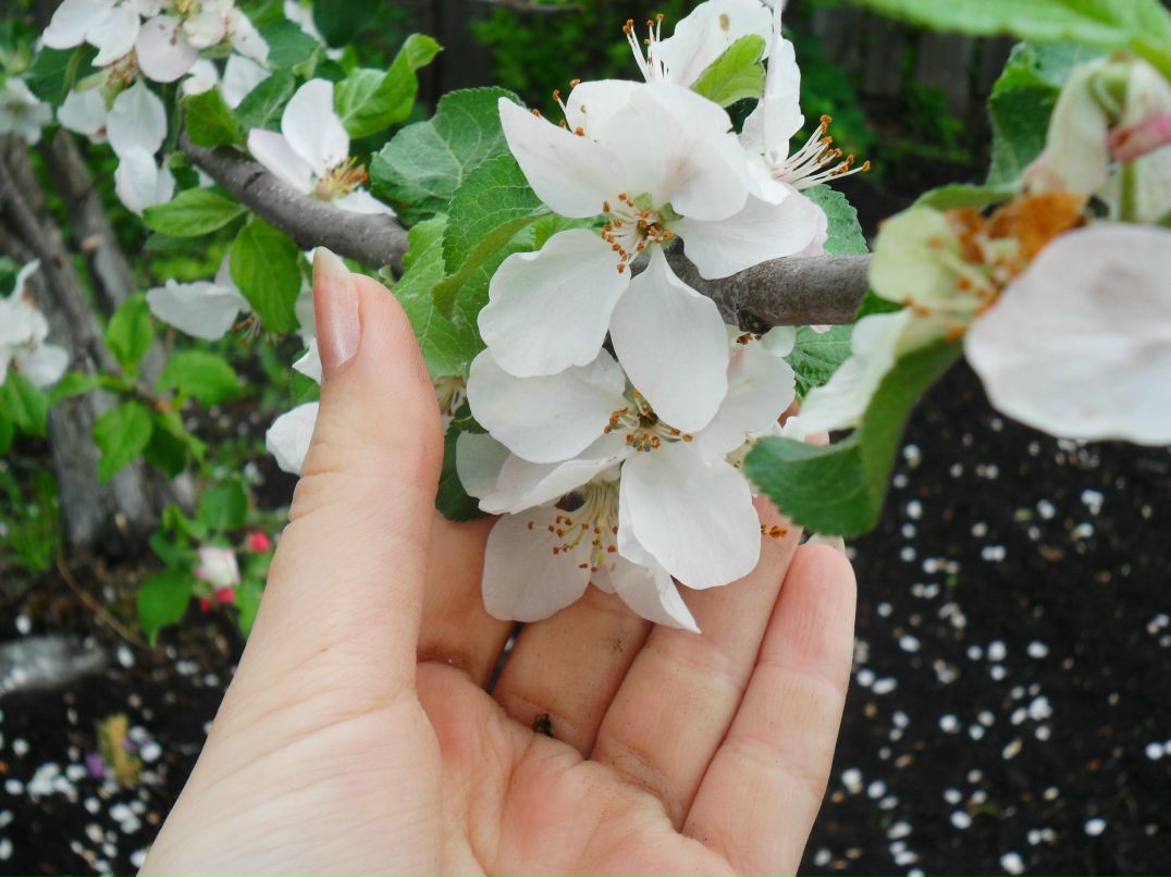 Эльмира Аминова | Уфа