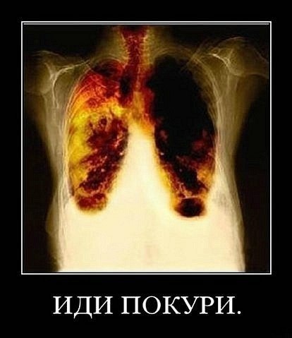 Евгений Бельков | Курск