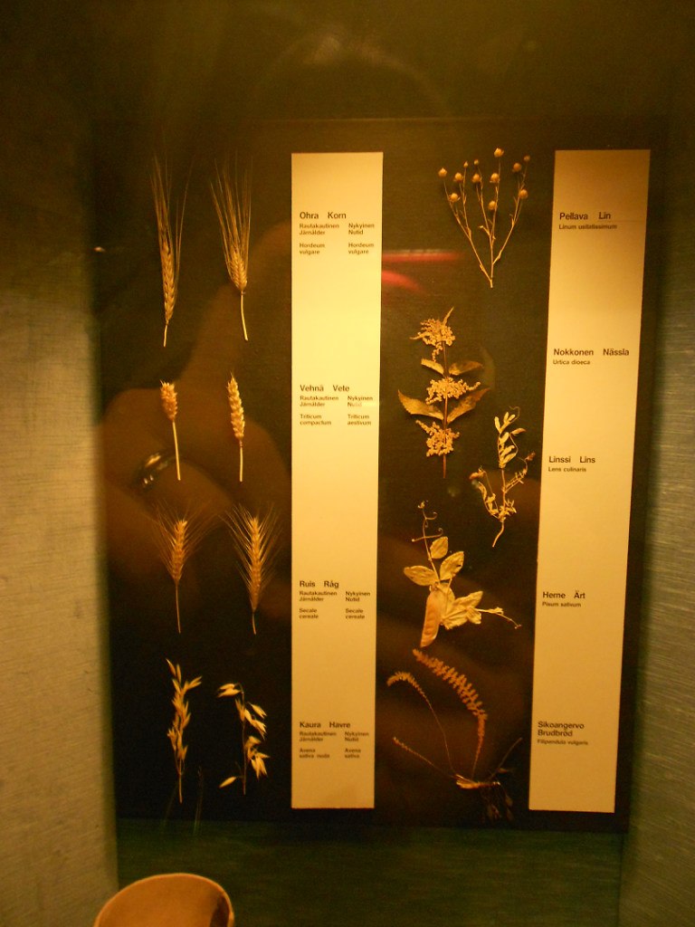 Наталия Виноградова Magda-Zitta | 