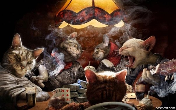 Антон Петровский | Ярославль