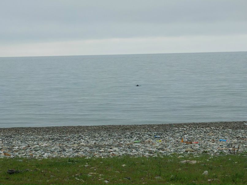 Константин Шевляков Владимирович | Москва