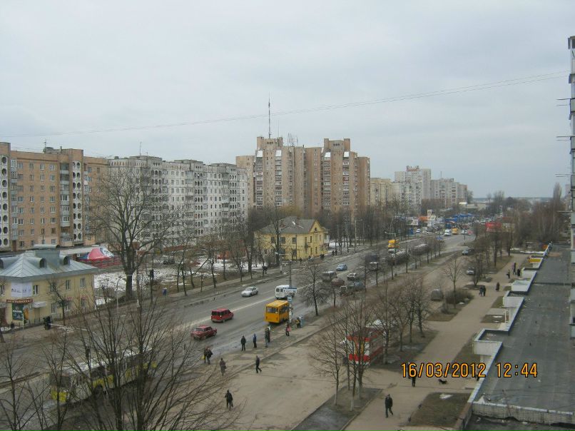 Вячеслав Бенедик bin-laden | Житомир