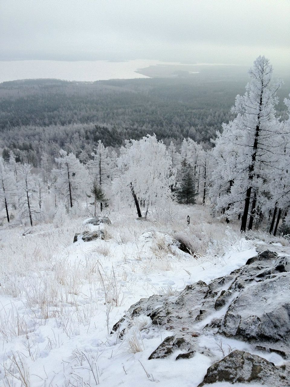 Василий Голосов | Киров