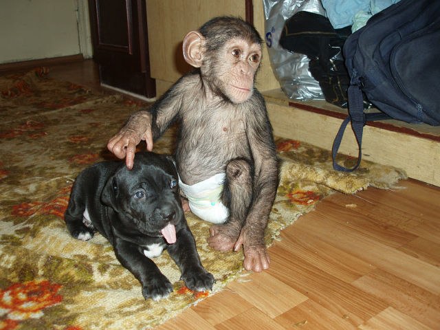 Наталия Мишкина | 