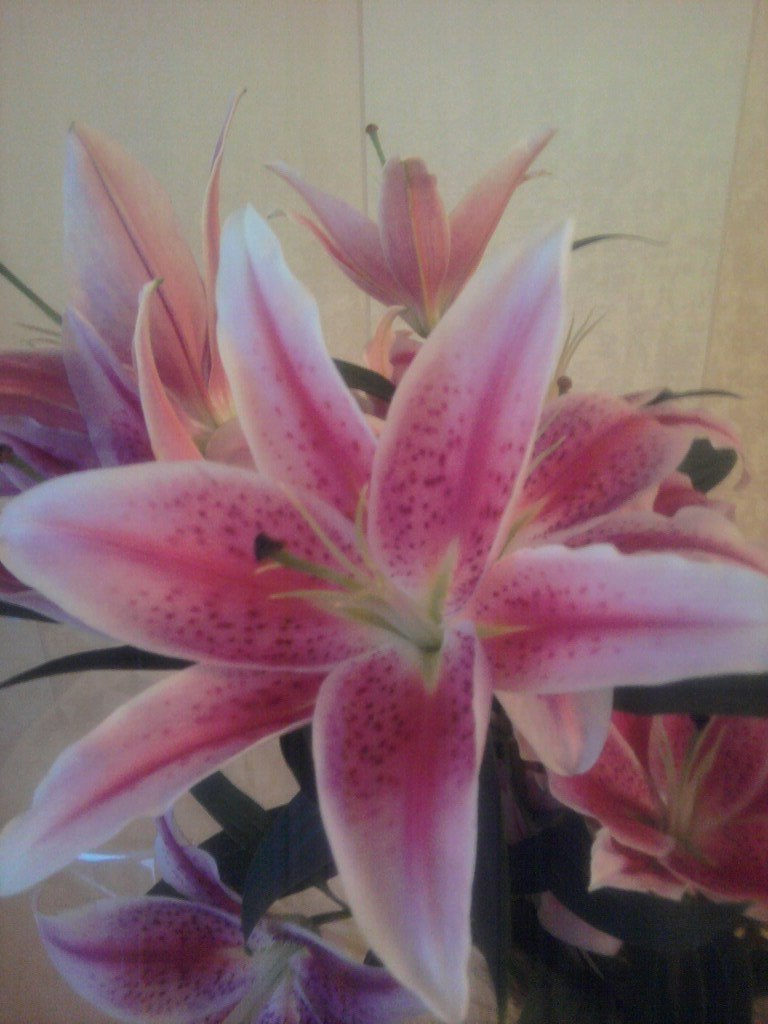 Лилия Билданова | Москва