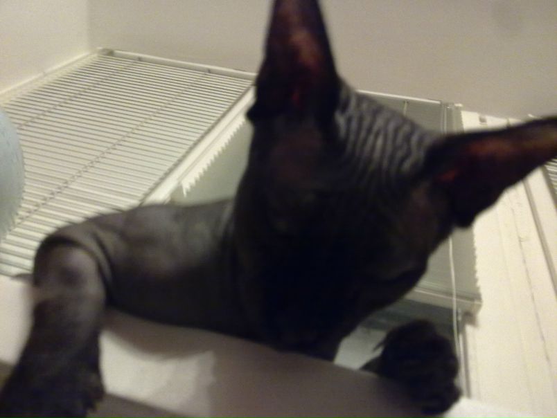 №14, Anna Bounty №14, Anna Bounty